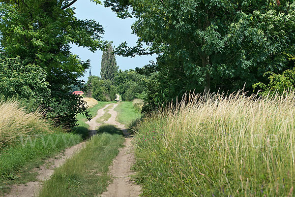 Feldweg (path)