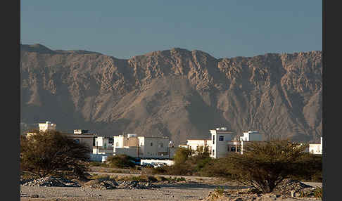 Oman (Oman)