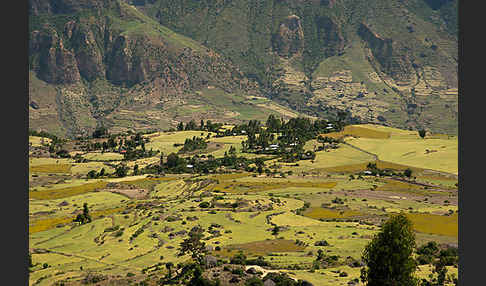 Aethiopien (Ethiopia)