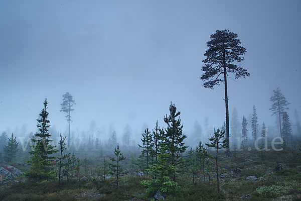 Finnland (Finland)