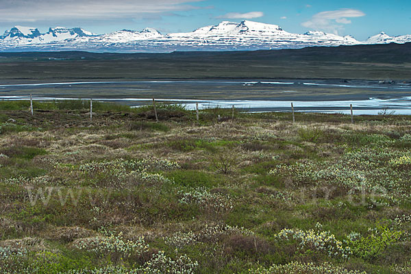 Island (Iceland)