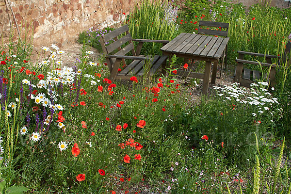 Kulturlandschaft (cultivated landscape)