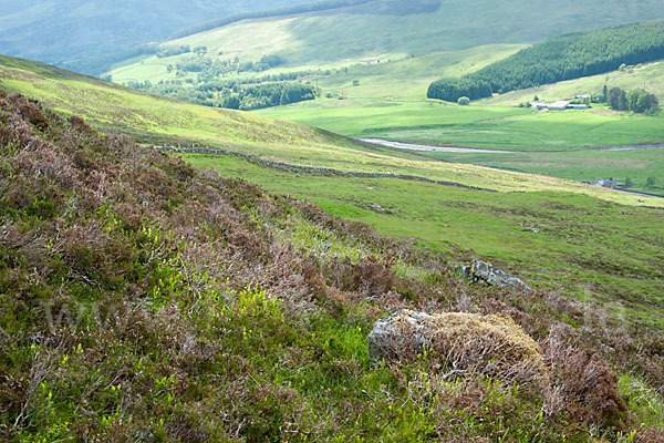 Schottland (Scotland)