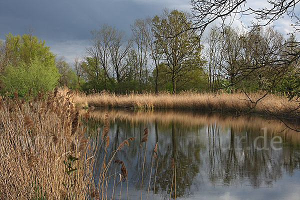 Thüringen (Thuringia)