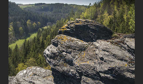 Thüringen (Thuringia)