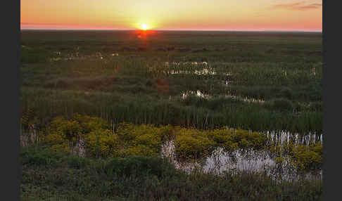 Kasachstan (Kazakhstan)