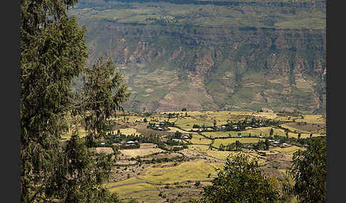 Aethiopien (Ethiopia)