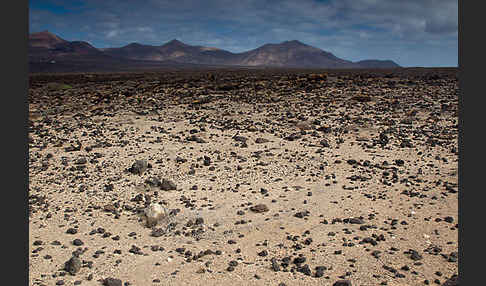 Lanzarote (Kanarische Inseln)