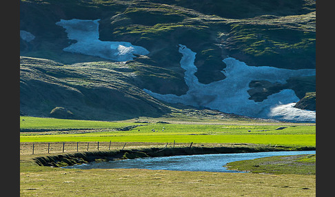 Island (Iceland)